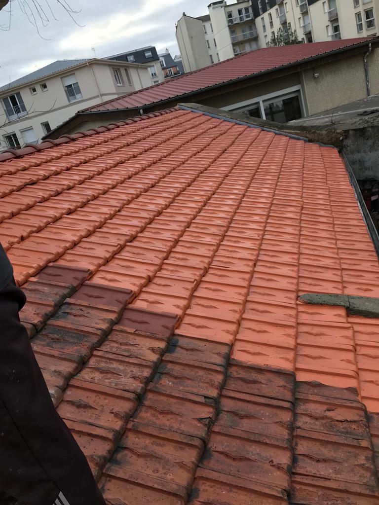 Demoussage de couverture en tuiles, ardoises ou zinc à Fontainebleau (77300) en Seine et Marne 77